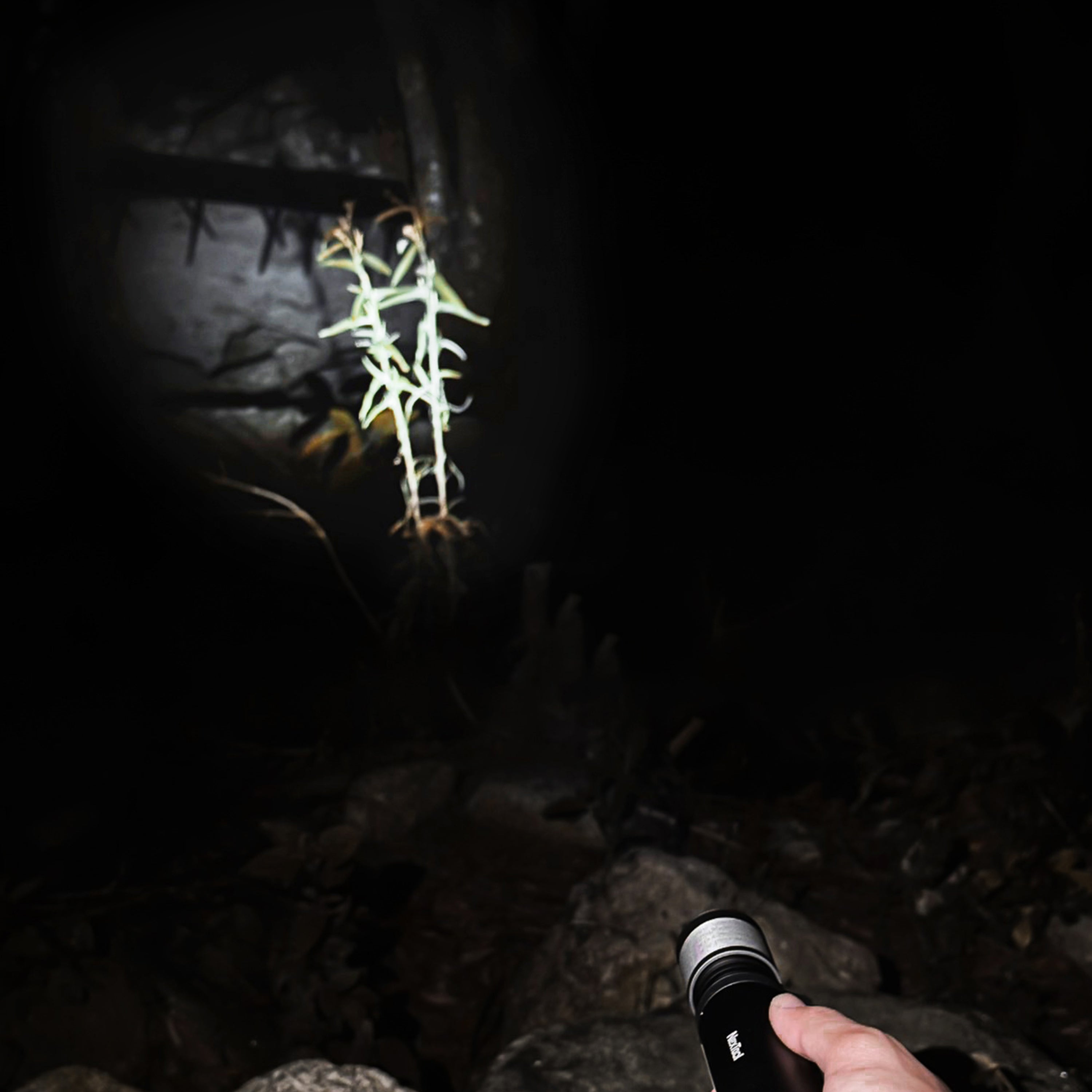 Outdoor 12 in 1 Thunder Flashlight NexTool®