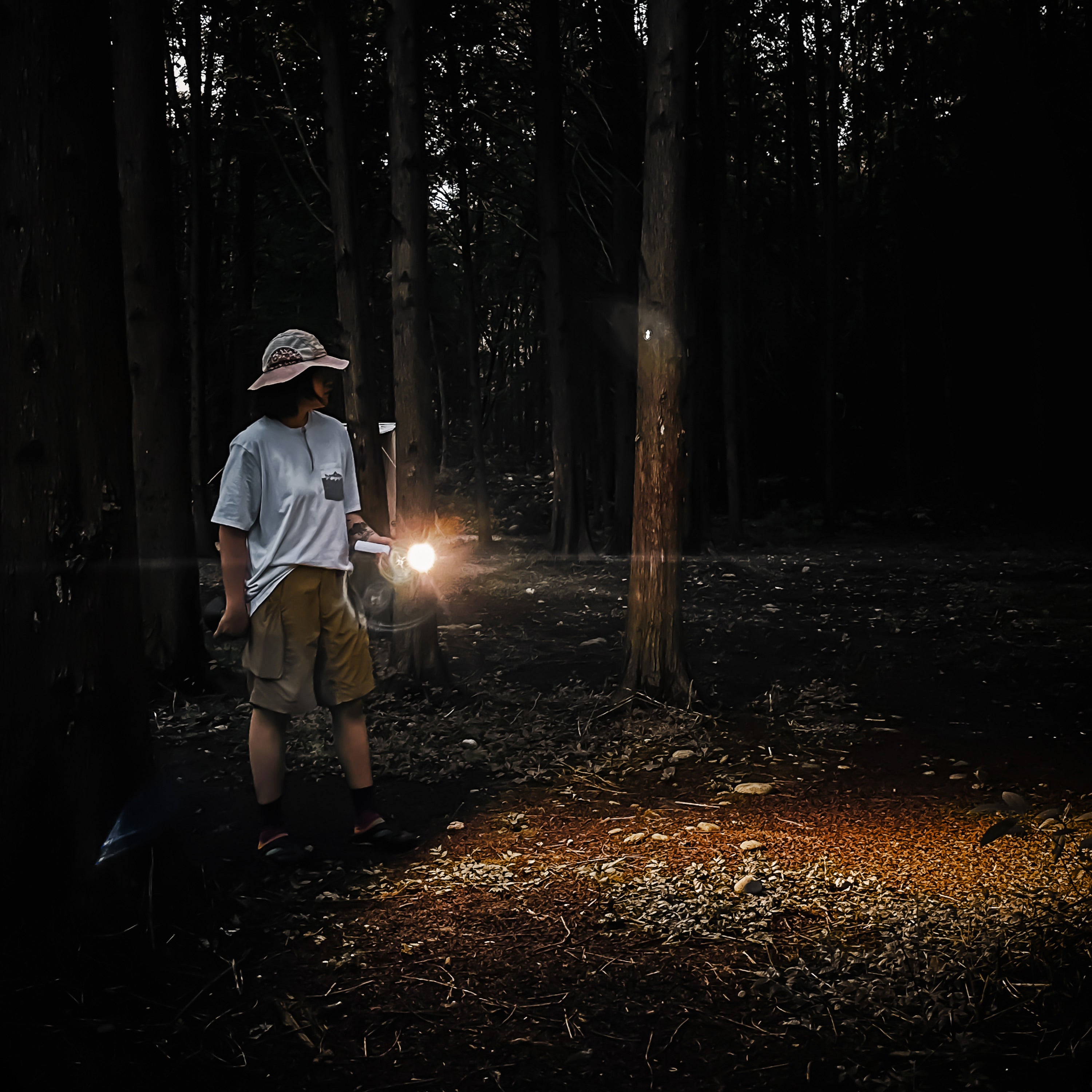 Wukong Multifunctionnal Lamp NexTool®